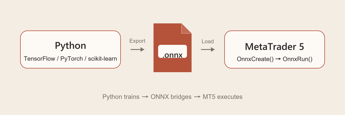 ONNX Workflow: Python trains → ONNX bridges → MT5 executes